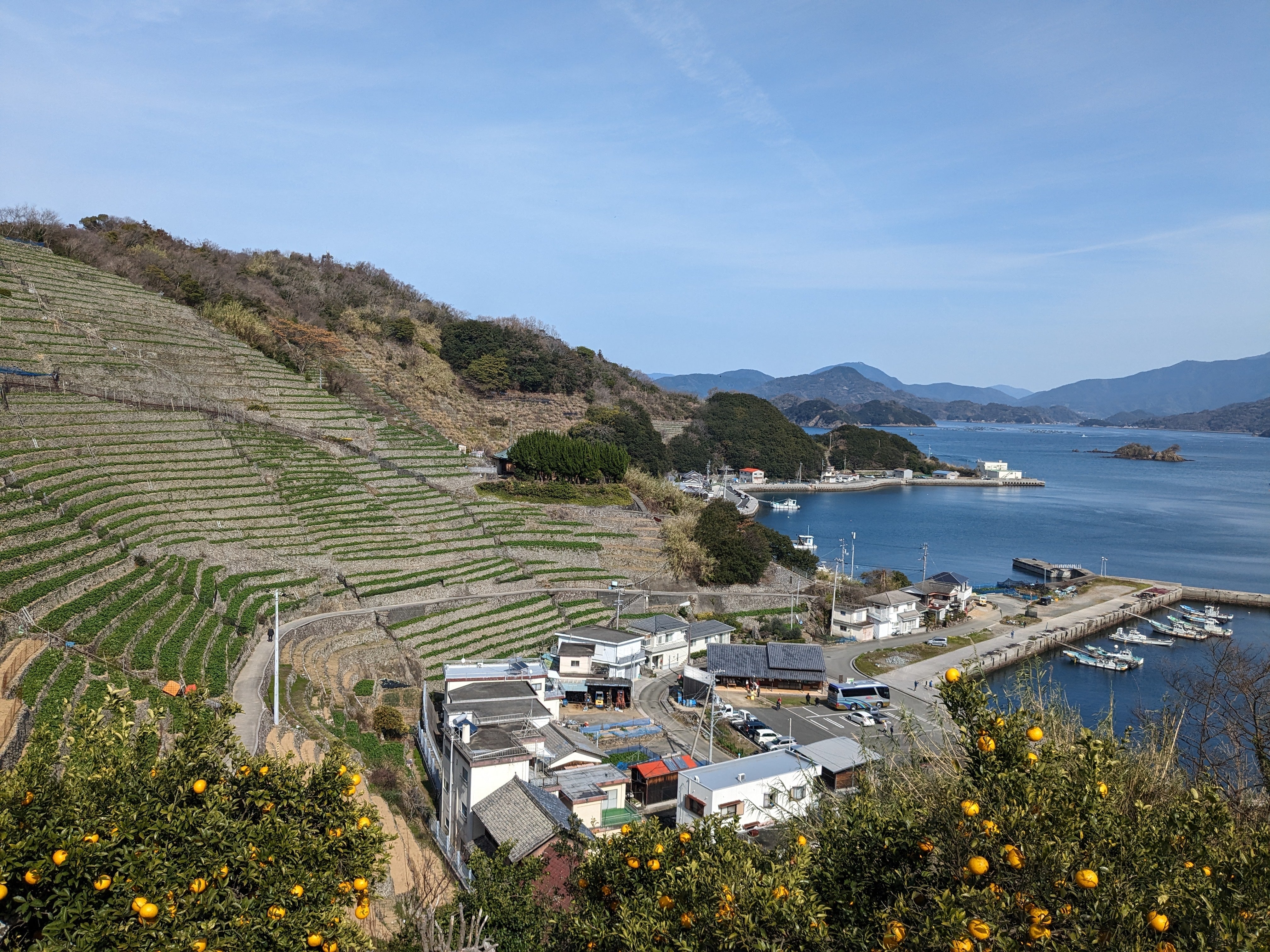宇和島の景観 『遊子水荷浦の段畑』 – Yamashita-Pearl