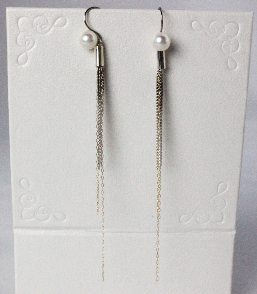 INSP12 Chain arrangement earrings 282